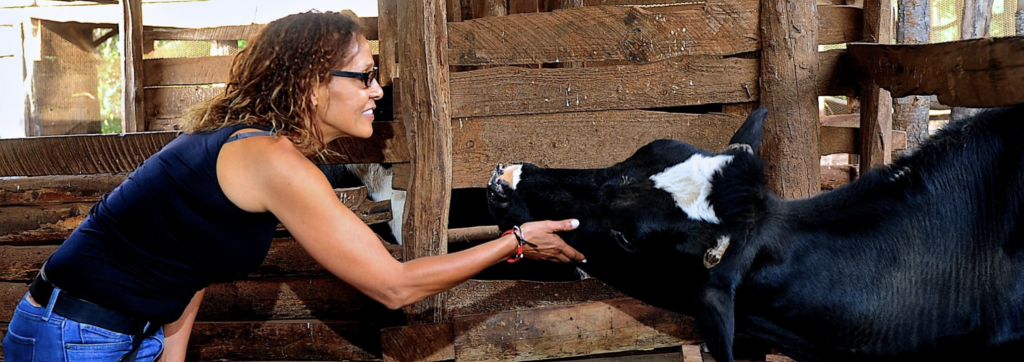 Organic farmer Su Kahumbu Stephanou of iCow visits with a cow.